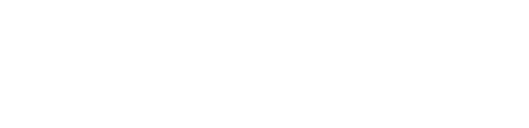 BETH GILSTRAP
“Top Ten Things That Kept Me Going  In This Dumpster Fire Year”