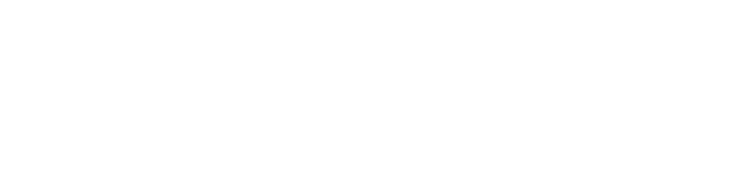 CHELSEA LAINE WELLS
“Ten Times Food Was Emotionally  Significant For Me In 2016”