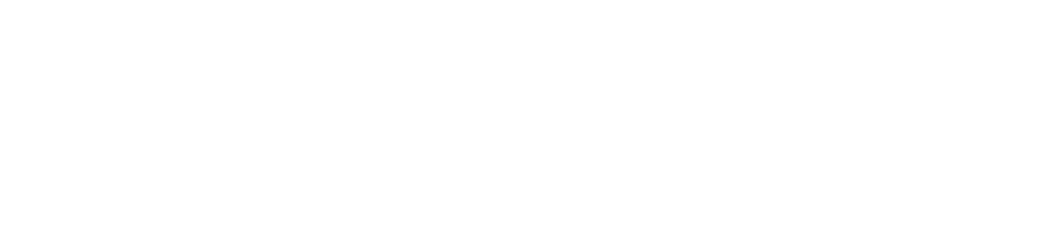 LISA MECHAM
“Top Ten Ways I Distracted Myself  From Writing in 2016”