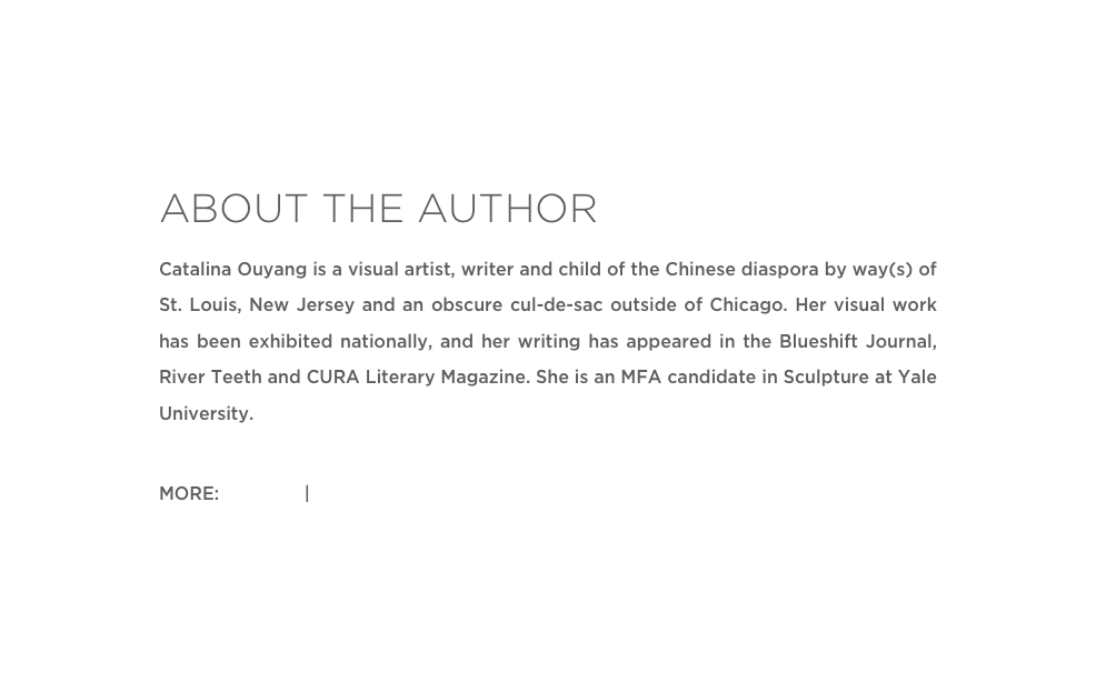 ABOUT THE AUTHOR
Catalina Ouyang is a visual artist, writer and child of the Chinese diaspora by way(s) of St. Louis, New Jersey and an obscure cul-de-sac outside of Chicago. Her visual work has been exhibited nationally, and her writing has appeared in the Blueshift Journal, River Teeth and CURA Literary Magazine. She is an MFA candidate in Sculpture at Yale University.

MORE: Website | Instagram