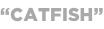 shapeimage_21_link_1