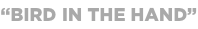 shapeimage_28_link_1