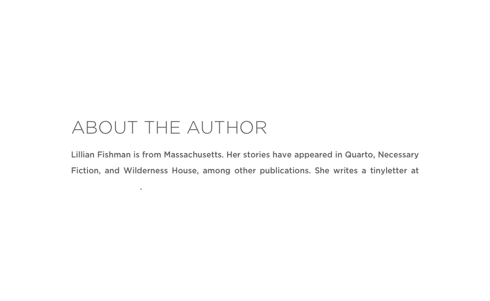 ABOUT THE AUTHOR
Lillian Fishman is from Massachusetts. Her stories have appeared in Quarto, Necessary Fiction, and Wilderness House, among other publications. She writes a tinyletter at tinyletter.com/lrf.