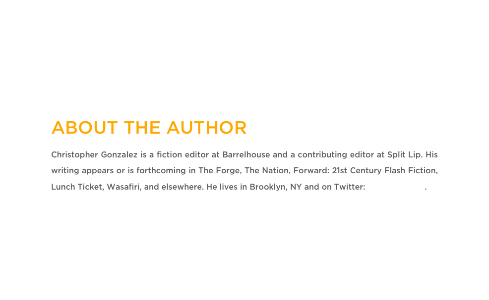 ABOUT THE AUTHOR
Christopher Gonzalez is a fiction editor at Barrelhouse and a contributing editor at Split Lip. His writing appears or is forthcoming in The Forge, The Nation, Forward: 21st Century Flash Fiction, Lunch Ticket, Wasafiri, and elsewhere. He lives in Brooklyn, NY and on Twitter: @livesinpages.