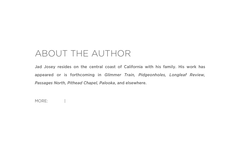 ABOUT THE AUTHOR
Jad Josey resides on the central coast of California with his family. His work has appeared or is forthcoming in Glimmer Train, Pidgeonholes, Longleaf Review, Passages North, Pithead Chapel, Palooka, and elsewhere.

MORE: Twitter | Website  