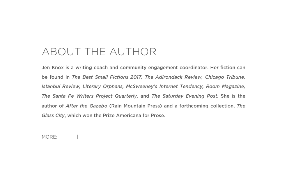 ABOUT THE AUTHOR
Jen Knox is a writing coach and community engagement coordinator. Her fiction can be found in The Best Small Fictions 2017, The Adirondack Review, Chicago Tribune, Istanbul Review, Literary Orphans, McSweeney’s Internet Tendency, Room Magazine, The Santa Fe Writers Project Quarterly, and The Saturday Evening Post. She is the author of After the Gazebo (Rain Mountain Press) and a forthcoming collection, The Glass City, which won the Prize Americana for Prose.
MORE: Twitter | Website