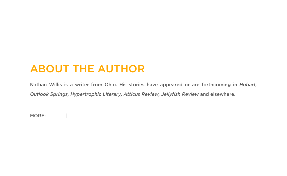 ABOUT THE AUTHOR
Nathan Willis is a writer from Ohio. His stories have appeared or are forthcoming in Hobart, Outlook Springs, Hypertrophic Literary, Atticus Review, Jellyfish Review and elsewhere.

MORE: Twitter | Website