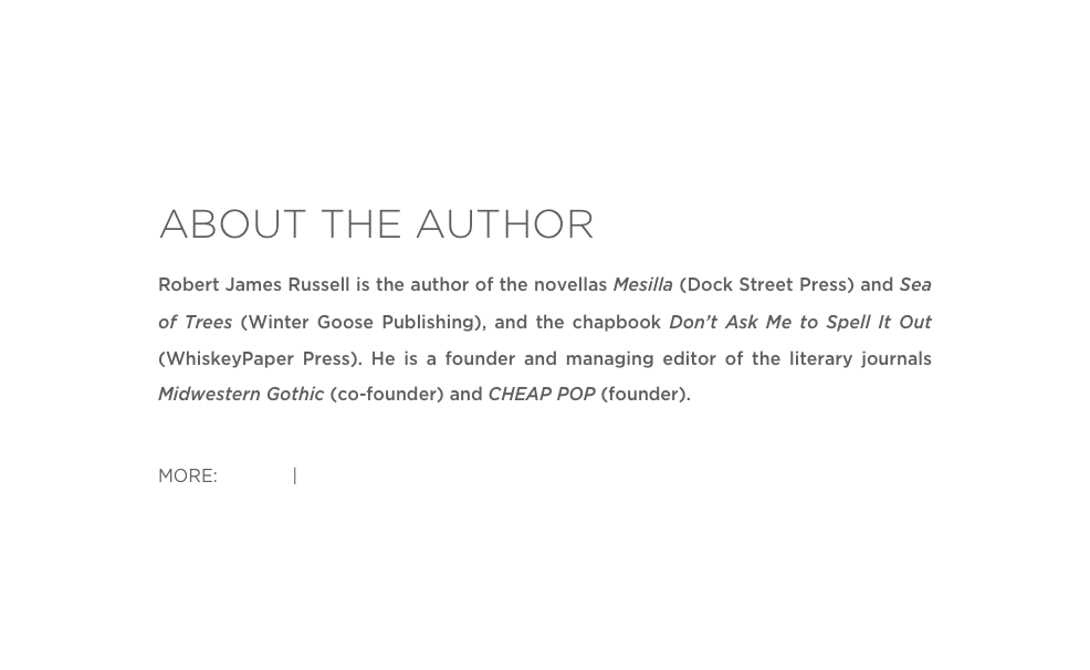 ABOUT THE AUTHOR
Robert James Russell is the author of the novellas Mesilla (Dock Street Press) and Sea of Trees (Winter Goose Publishing), and the chapbook Don’t Ask Me to Spell It Out (WhiskeyPaper Press). He is a founder and managing editor of the literary journals Midwestern Gothic (co-founder) and CHEAP POP (founder). 

MORE: Twitter | Website