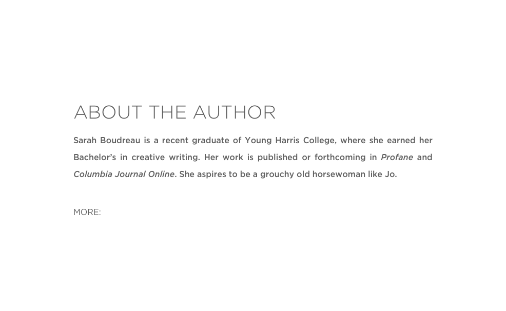 ABOUT THE AUTHOR
Sarah Boudreau is a recent graduate of Young Harris College, where she earned her Bachelor’s in creative writing. Her work is published or forthcoming in Profane and Columbia Journal Online. She aspires to be a grouchy old horsewoman like Jo. 

MORE: Twitter 