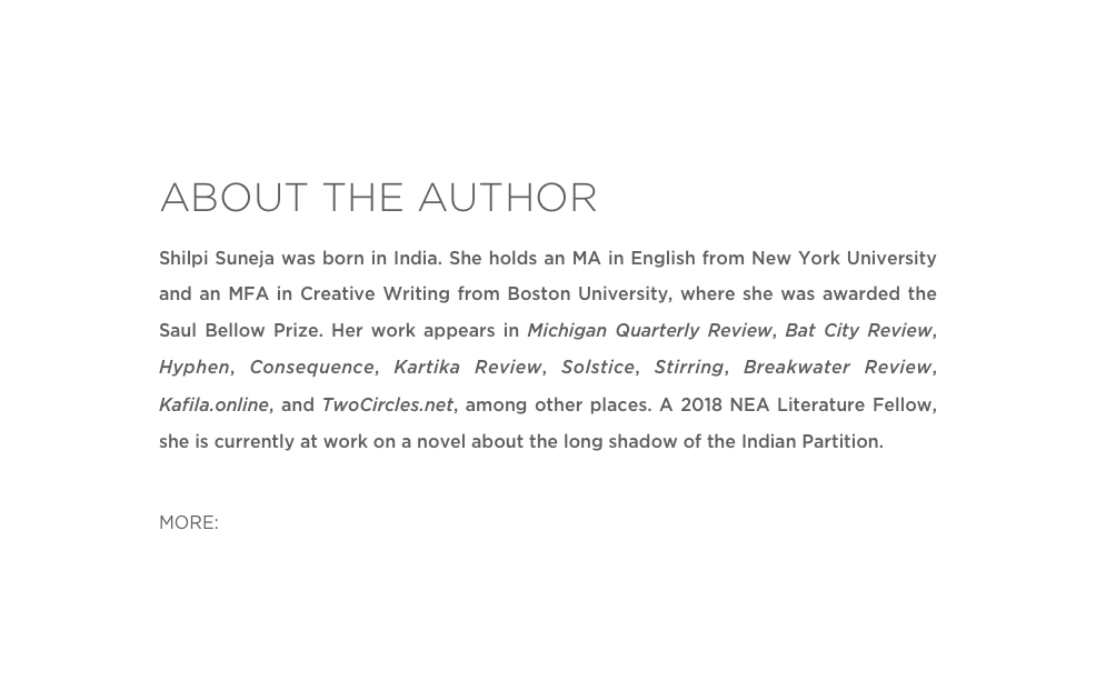ABOUT THE AUTHOR
Shilpi Suneja was born in India. She holds an MA in English from New York University and an MFA in Creative Writing from Boston University, where she was awarded the Saul Bellow Prize. Her work appears in Michigan Quarterly Review, Bat City Review, Hyphen, Consequence, Kartika Review, Solstice, Stirring, Breakwater Review, Kafila.online, and TwoCircles.net, among other places. A 2018 NEA Literature Fellow, she is currently at work on a novel about the long shadow of the Indian Partition.

MORE: Twitter 