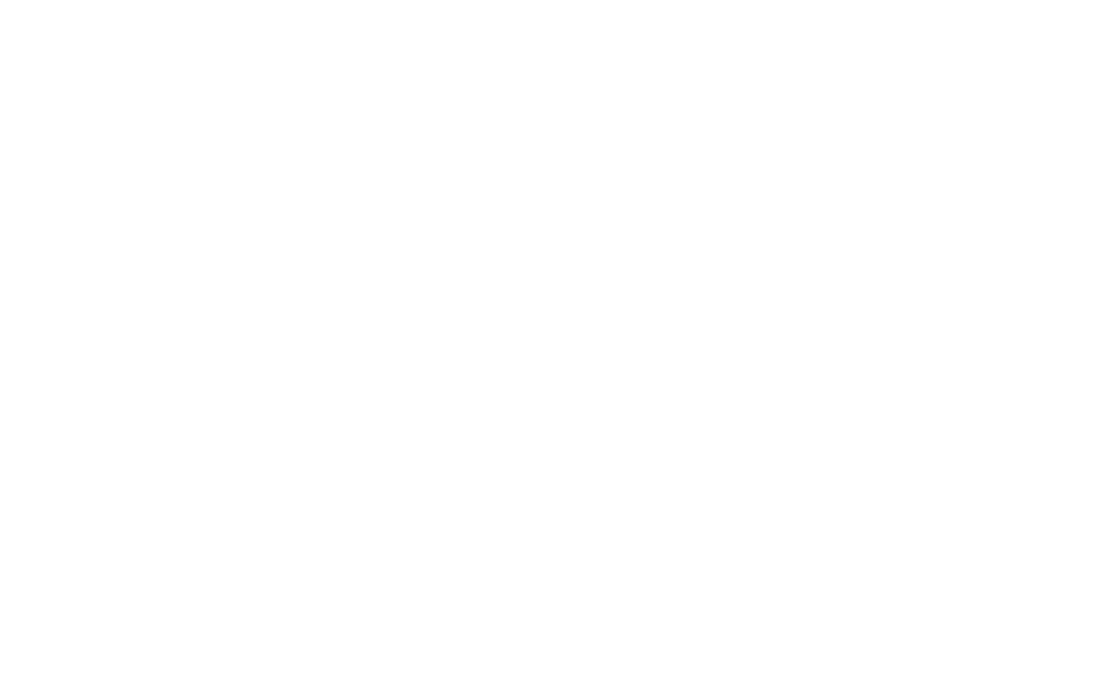 ABOUT THE AUTHOR
Suzanne Freeman is a journalist, book-reviewer and author of the novel, The Cuckoo’s Child. She lives in Charlottesville, VA and works as Media Editor for streetlightmag.com